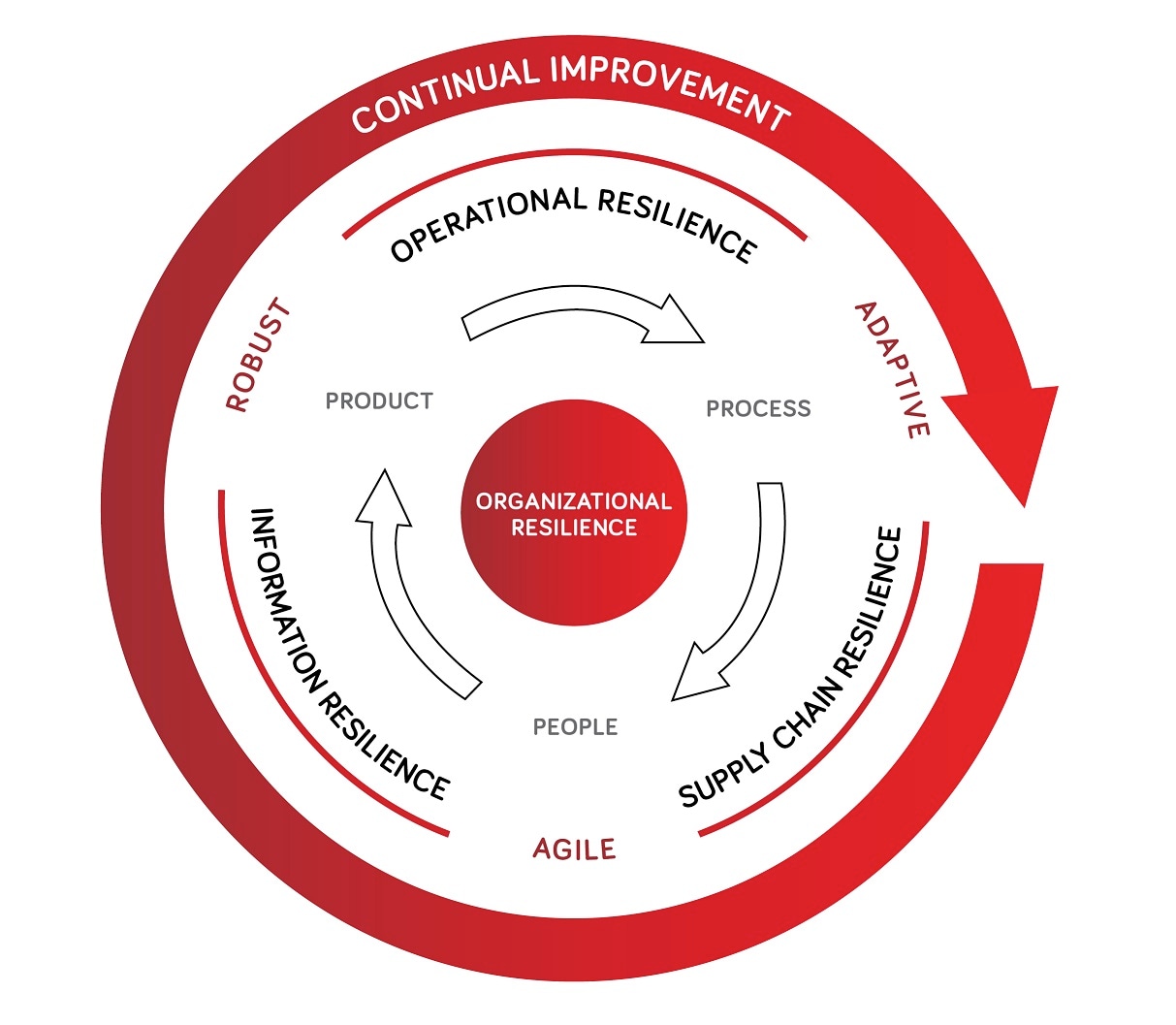 Elementos Esenciales De La Resiliencia Organizacional BSI